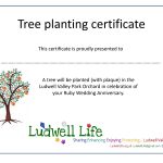 Tree planting, given by RR